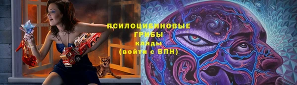 mdpv Каменск-Шахтинский