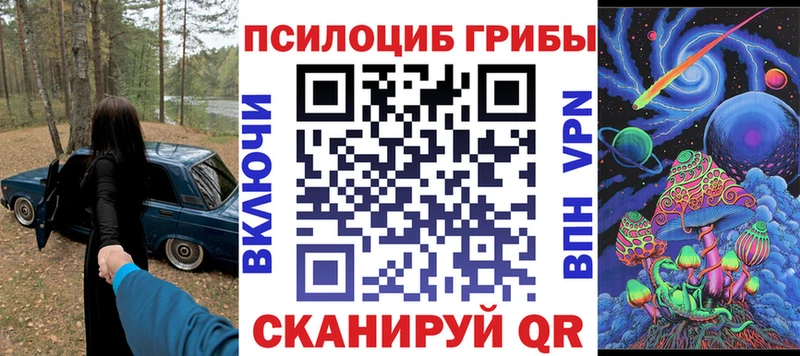Галлюциногенные грибы Psilocybine cubensis  Соль-Илецк 