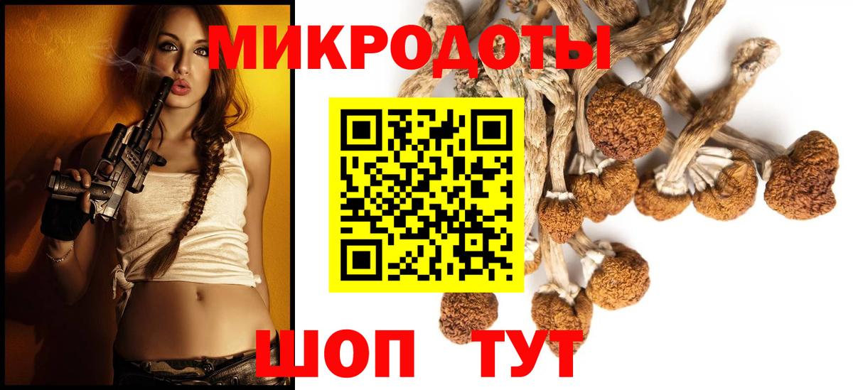 купить закладку  Галлюциногенные грибы прущие грибы  Вход с VPN  Соль-Илецк  Галлюциногенные грибы GOLDEN TEACHER 